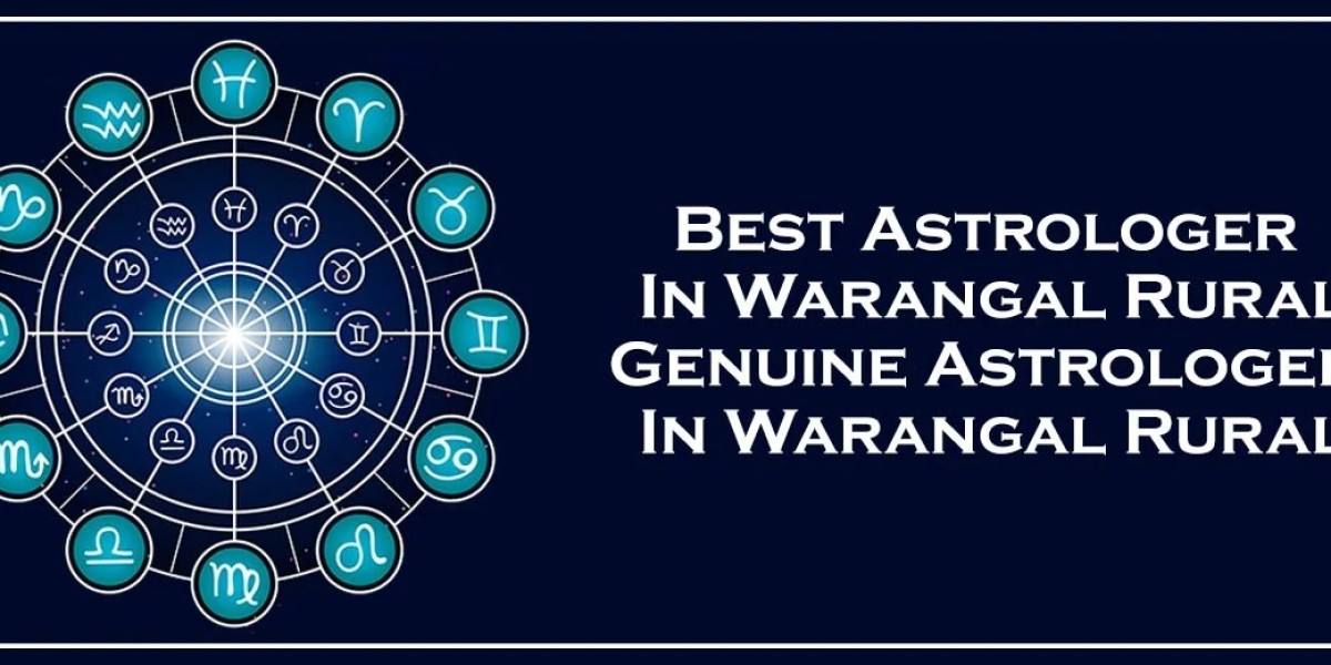 Best Astrologer in Warangal Rural