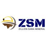 zillion sawaminerals profile picture
