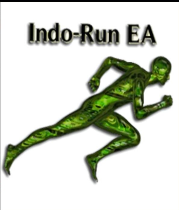 Indo Run EA v1.5 Source Code MQ4 - AtomFX Store