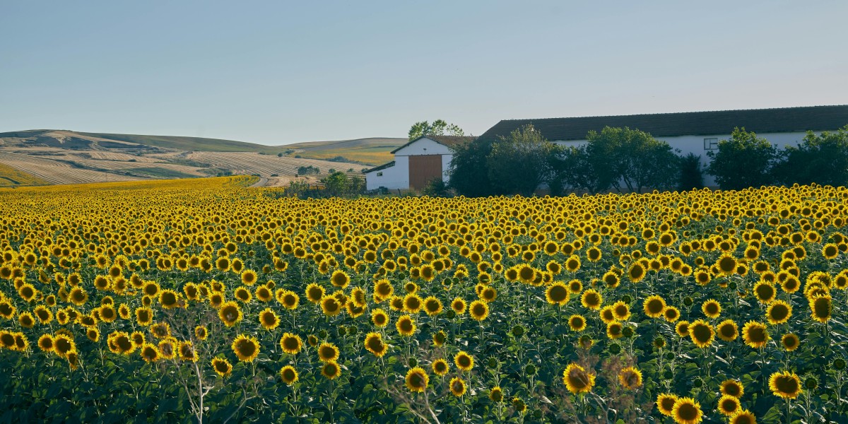 Is Armourer's Scrap more impactful on high-rarity armor?