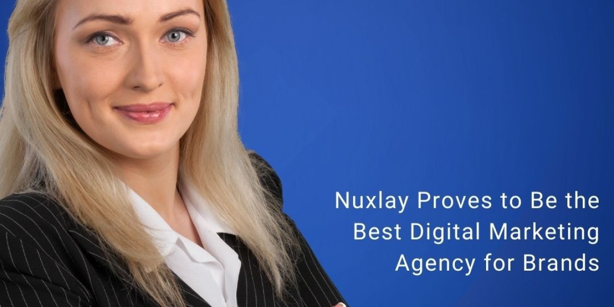Nuxlay Leading as the Best Digital Marketing Agency for Entrepreneurs