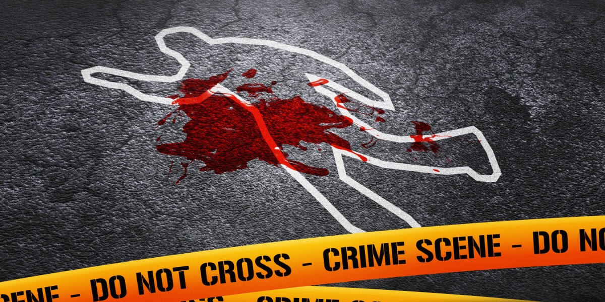 The Evolution and Future of Jet Travel: Soaring By The Skies