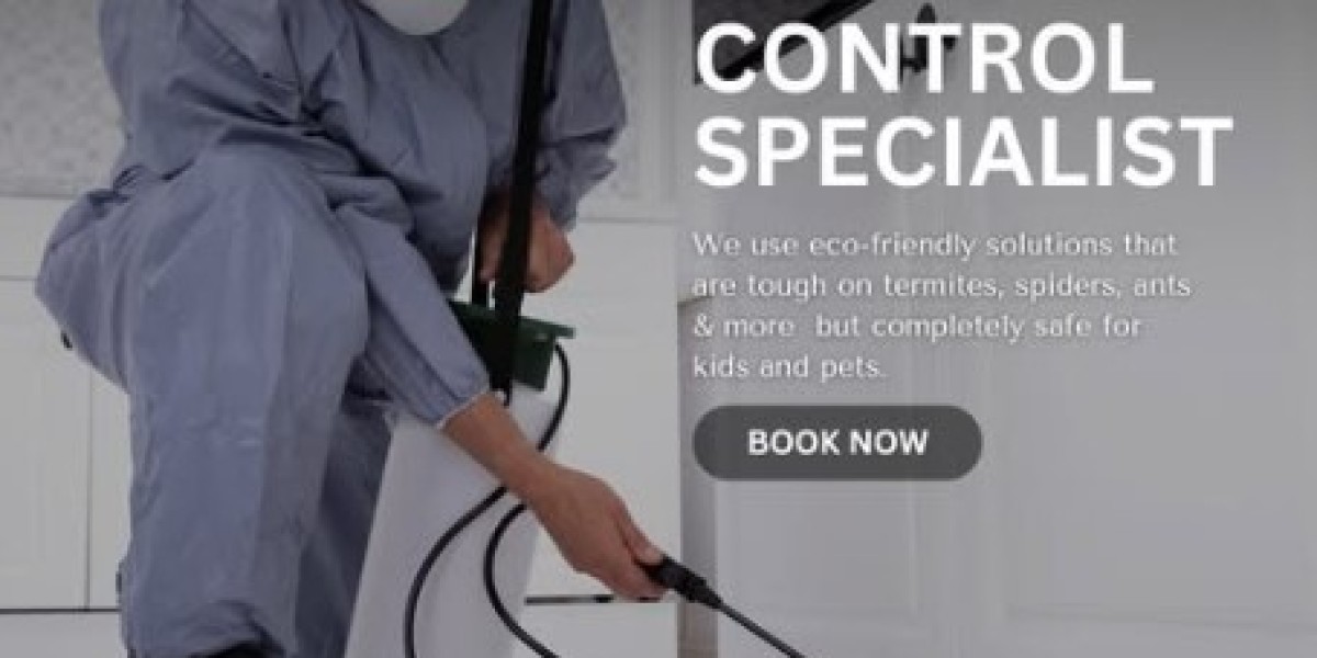 Protect Your Home and Family: Expert Pest Control in Melbourne