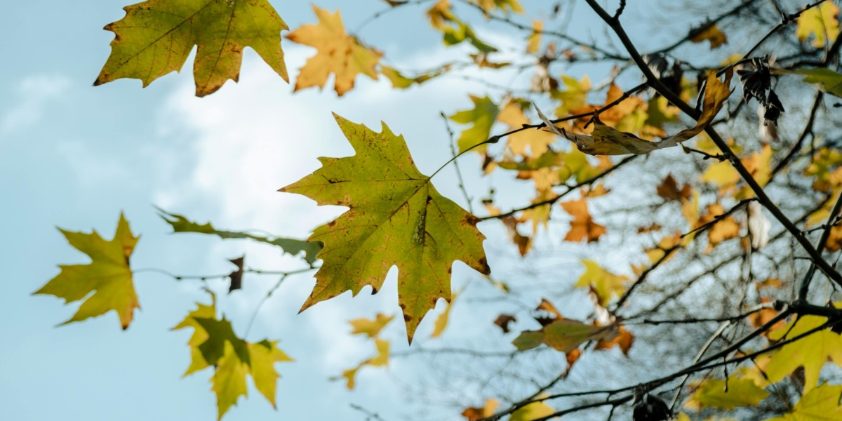 U4GM Where Season 12 Slaughterhouses Beat Helltides Fast