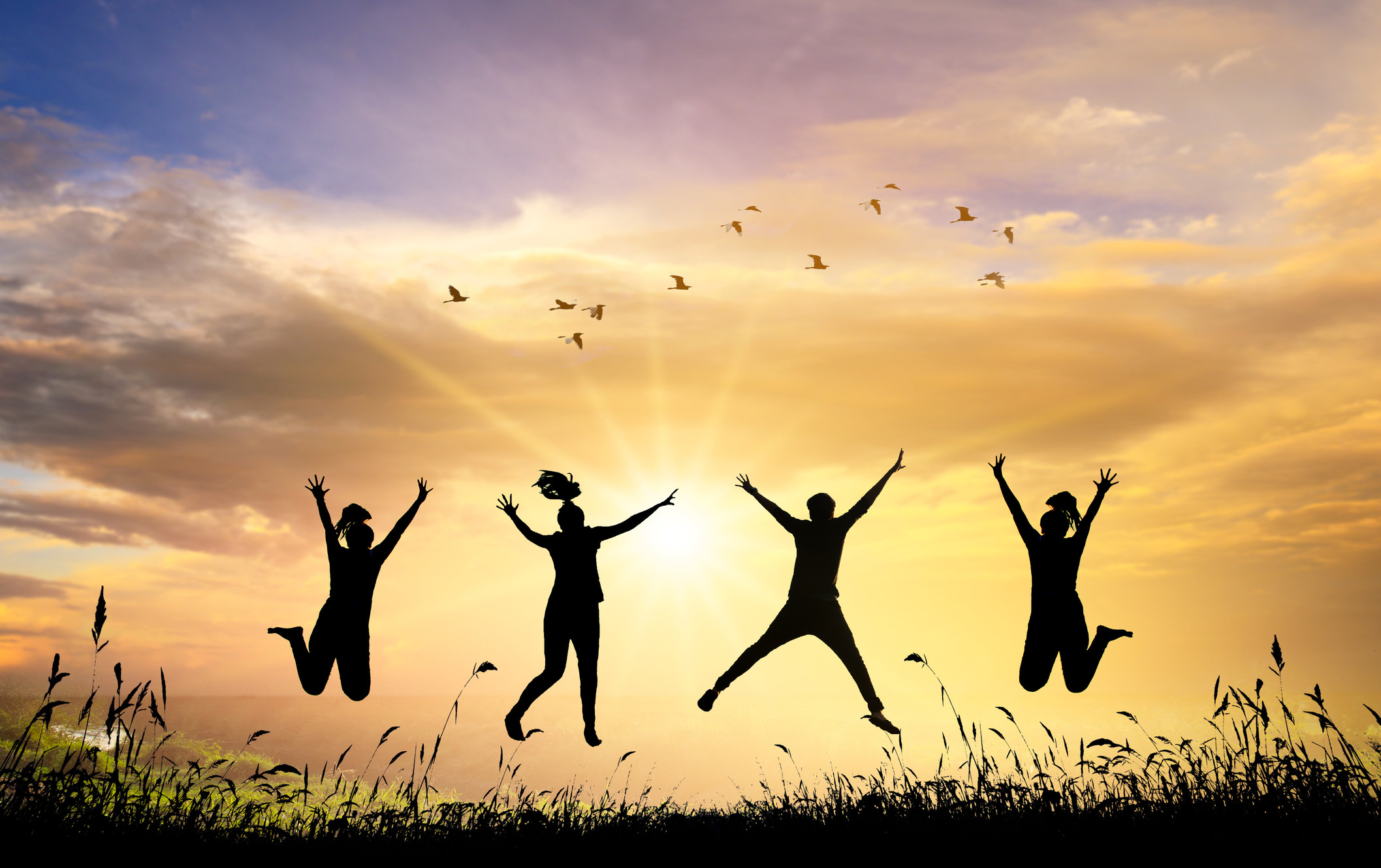 secondnewlife | Profil