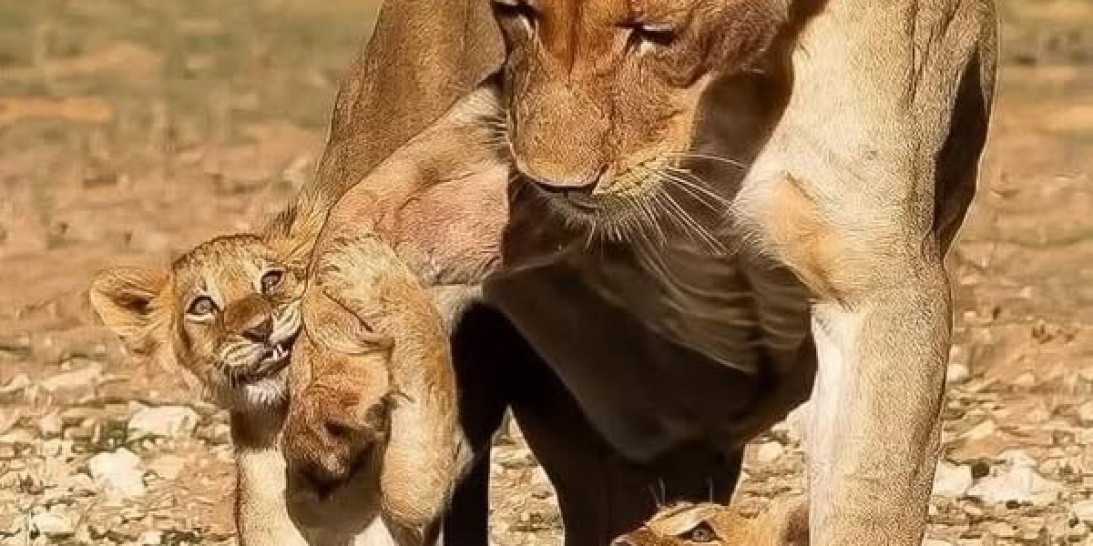 Yankees Future Cost-free Representative Concentration: Tyler Mahle