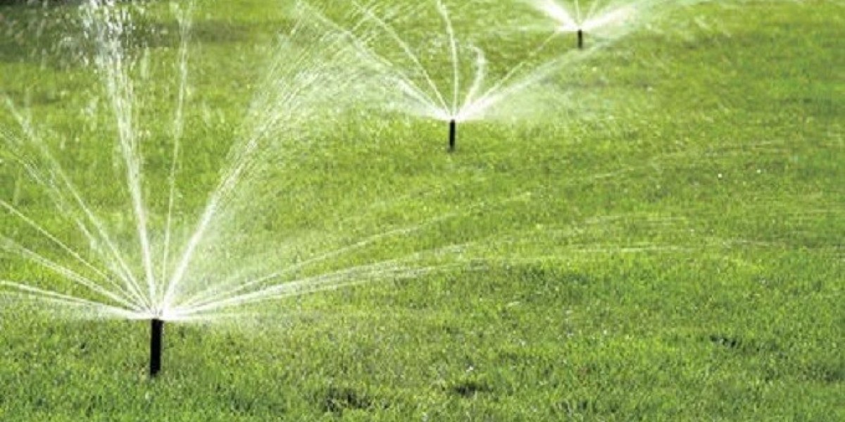 Top Rated Sprinkler Repair Plano Experts for Quick Fixes