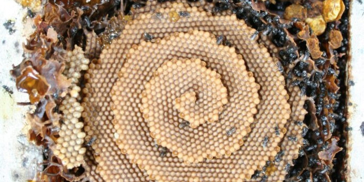 Article Picture