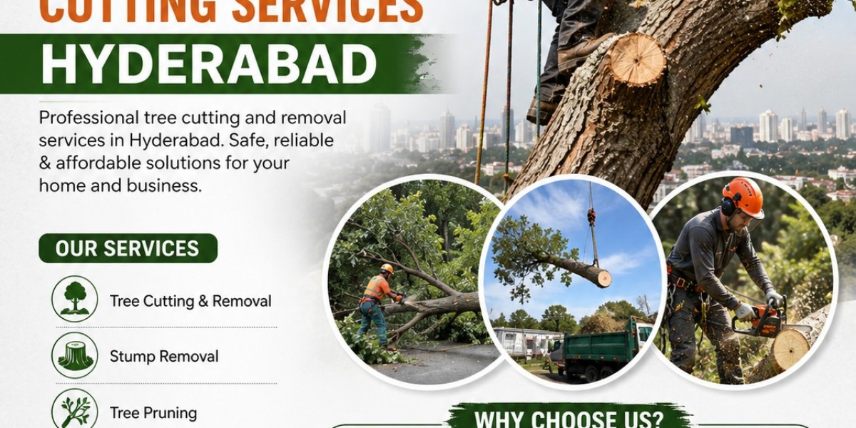 Safe and Affordable Tree Maintenance Services in Hyderabad